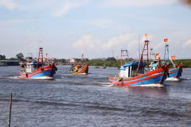 Vietnam mejora gestión del espacio marino para eliminar "tarjeta amarilla"