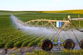 Vietnam incrementa el valor de productos agrícolas exportados a partir de producción verde