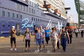 Localidades sureñas lanzan nuevos productos para atraer turistas a fin de año
