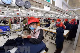 Vietnam cambia formas de promoción comercial para adaptarse a COVID-19
