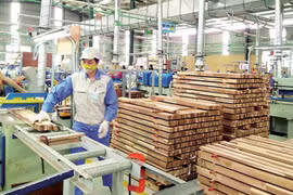 Procesamiento de madera de Gia Lai busca firmeza en mercado europeo