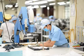 Vietnam se esfuerza por eliminar dificultades para producción de fin de año