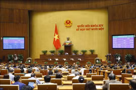 Parlamento vietnamita prosigue perfeccionamiento del aparato del personal