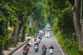 Impulsan en Vietnam campaña de plantación de árboles