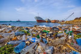 Entregan en Hanoi premios de concurso sobre reducción de contaminación por residuos plásticos