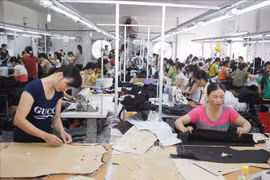 Prospera comercio entre Vietnam y España en primeros ocho meses de 2022