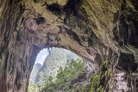 Recorrido por Cueva En: Un regreso a la era prehistórica
