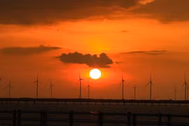 Admiran belleza de la puesta de sol en el "campo de energía eólica" en Bac Lieu