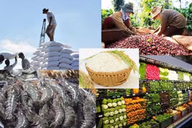 Productos agrícolas vietnamitas aumentan su presencia en mercado surcoreano