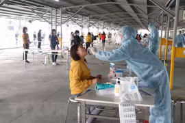 Vietnam reporta siete casos nuevos de COVID-19