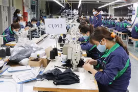 (Televisión) Vietnam puede convertirse en principal proveedor de mascarillas de tela del mundo