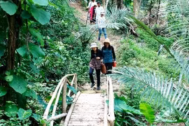 Provincia vietnamita impulsa ecoturismo junto con el desarrollo sostenible