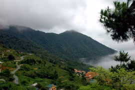 Parque Nacional de Tam Dao, zona de alta biodiversidad