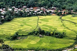 Descubren la Reserva Natural de Pu Luong en provincia vietnamita de Thanh Hoa