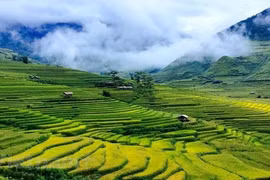 Hermosos lugares por descubrir en Mu Cang Chai de Vietnam