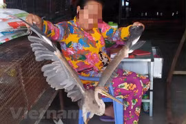 Comercio ilegal de animales salvajes en Vietnam