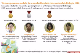 Vietnam gana una medalla de oro en la Olimpiada Internacional de Biología 2020
