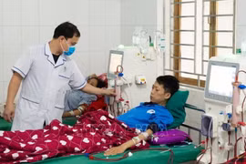 Procuran mejorar atención sanitaria de base en Bac Giang