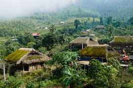 Techos cubiertos de musgo, únicos en la cordillera de Tay Con Linh