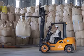 Provincia de Thanh Hoa promueve marcas de arroz para exportación