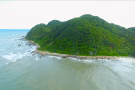 Quan Lan: gema verde en medio de la bahía de Bai Tu Long 
