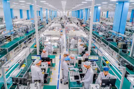 Aprueban la Estrategia para el desarrollo de la ciencia, tecnología e innovación hasta 2030