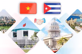 Nexos tradicionales especiales Vietnam - Cuba