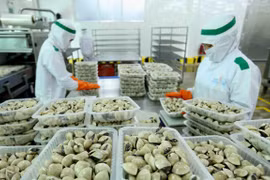 (Televisión) Industria acuícola vietnamita trata de desarrollarse de manera sostenible