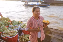 Mercado flotante de Cai Rang, destino único que no debe perderse en Can Tho