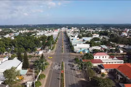 Zonas rurales de Ba Ria - Vung Tau muestran nueva fisonomía