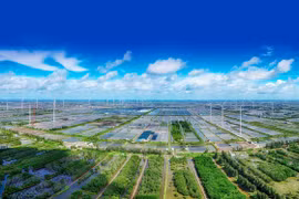 Promueven desarrollo de la agricultura circular en Vietnam