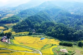 Gana Vietnam numerosos galardones en Premio Mundial de Viajes 2020