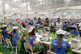 (Televisión) Cuarduplican IED colocada en nuevos proyectos de Vietnam en enero 