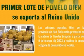 Primer lote de pomelo Dien se exporta al Reino Unido