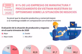 Mayoría de las empresas de manufactura y procesamiento en Vietnam muestran su optismismo sobre la situación de negocios