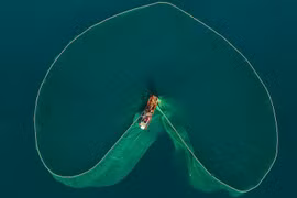 Impresionantes imágenes de la pesca en aguas vietnamitas