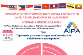 Diversos contenidos importantes prevén aprobarse en la AIPA 41