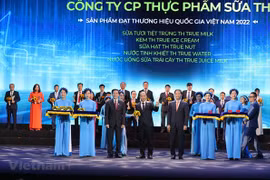 Consolida Vietnam desarrollo ascendente de marca nacional global