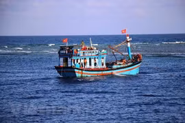(Video)Garantizan seguridad de pescadores en medio del COVID-19 