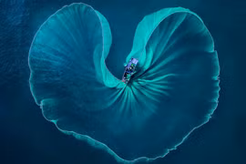 Exposición de fotos muestra belleza de Vietnam