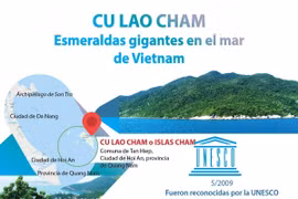 [Info] Cu Lao Cham, esmeraldas gigantes en el mar de Vietnam