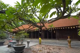 (Televisión) Pagoda Vinh Nghiem, recinto de patrimonio documental mundial
