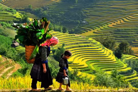 (Televisión) Promueven en Vietnam el turismo comunitario