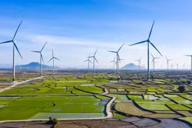 Crecimiento verde: Solución eficaz para el desarrollo sostenible
