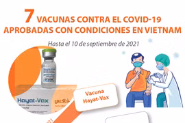 Siete vacunas contra el COVID-19 aprobadas con condiciones en Vietnam