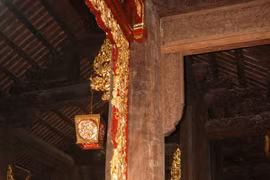 Misteriosa historia sobre el árbol Lim en provincia central de Thanh Hoa