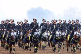 Policía Móvil de Caballería vietnamita se profesionaliza día a día 