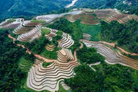 Terrazas de arroz llenas de agua en provincia montañosa de Vietnam