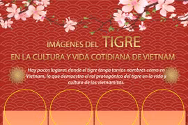 Imágenes del tigre en la cultura y vida cotidiana de Vietnam
