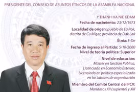 Presidente del Consejo de Asuntos Étnicos de la Asamblea Nacional 
